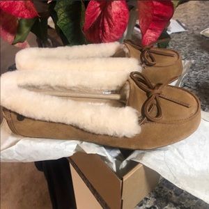 Uggs- chestnut, size 7 BRAND NEW